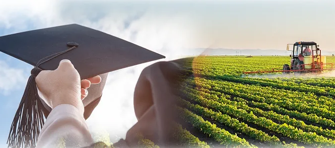 Peluang jawatan kosong untuk graduan Diploma Pengurusan Perladangan
